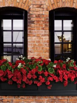 Fairfield Self-Watering Window Box, 5’ 12 Fairfield Self-Watering Window Box, 5’ -Garden Care Sale 8588938 102V tif