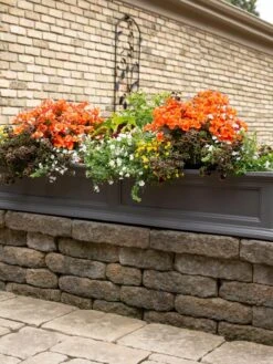 Fairfield Self-Watering Window Box, 5’ 13 Fairfield Self-Watering Window Box, 5’ -Garden Care Sale 8588938 105V tif