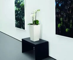 Lechuza® Cubico Color Tall Self-Watering Planters -Garden Care Sale 8589485 03V tif