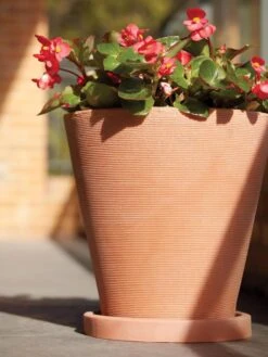 Universal Round Planter Saucers 7 Universal Round Planter Saucers -Garden Care Sale 8589526 001V tif