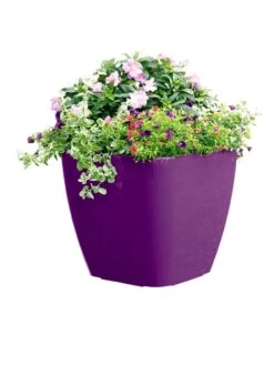 Viva Square Self-Watering Rolling Planter, 17.5" Diameter -Garden Care Sale 8589778PR 6126 tif