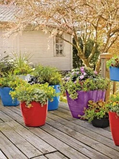 Viva Square Self-Watering Rolling Planter, 17.5" Diameter -Garden Care Sale 8589778 09000 tif