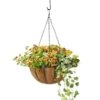 AquaSav™ Oxford Hanging Basket, 14"