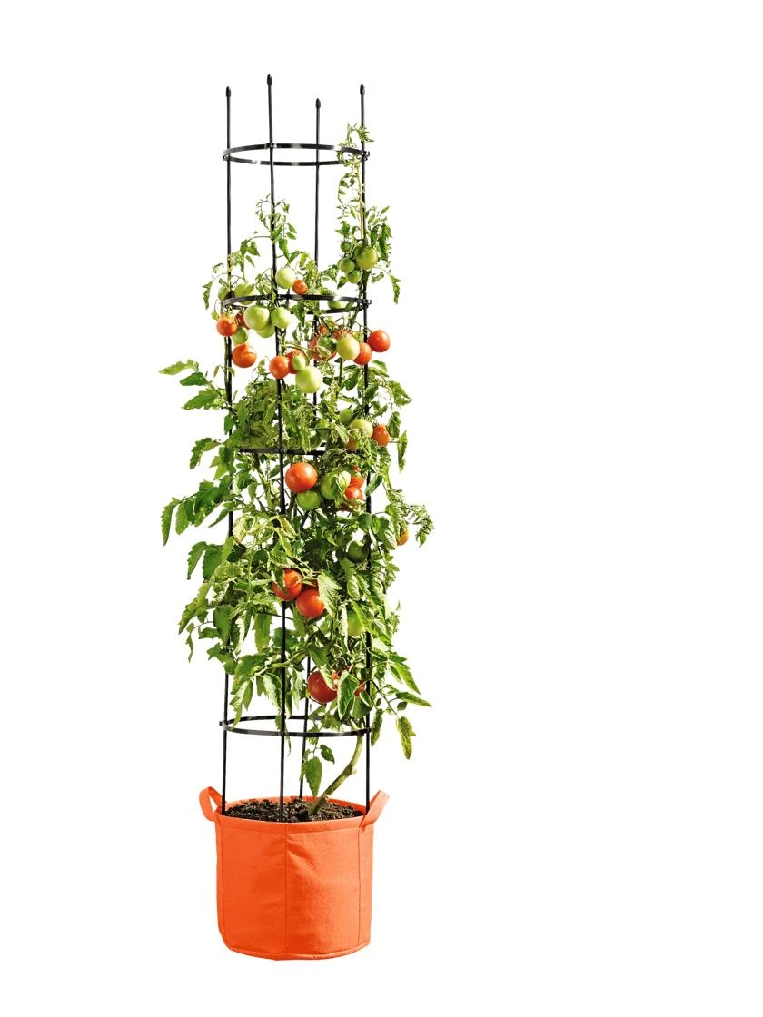 Gardener's Best® Tomato Grow Bag Set 1 Gardener's Best® Tomato Grow Bag Set