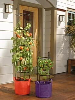Gardener's Best® Tomato Grow Bag Set 7 Gardener's Best® Tomato Grow Bag Set -Garden Care Sale 8590013 170 tif