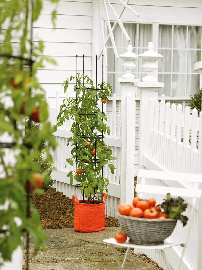 Gardener's Best® Tomato Grow Bag Set 2 Gardener's Best® Tomato Grow Bag Set - Image 2