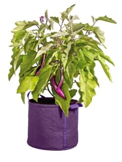 Gardener's Best® Universal Grow Bag -Garden Care Sale 8590024PR 214 tif