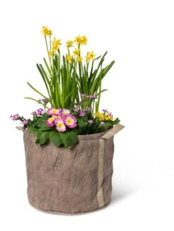 Gardener's Best® Universal Grow Bag -Garden Care Sale 8590024 7307 tif