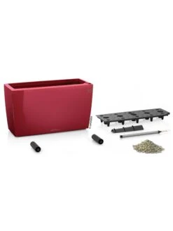 Lechuza® Cararo Rectangular Indoor Planter With Casters -Garden Care Sale 8590295 04v