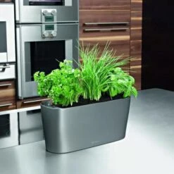 Lechuza® Delta Self-Watering Windowsill Planters -Garden Care Sale 8590298 02V tif
