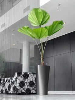 Lechuza® Delta Premium Self-Watering Planters -Garden Care Sale 8590299 02V tif