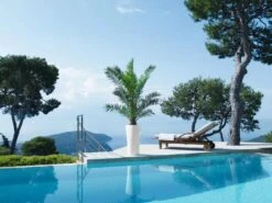 Lechuza® Delta Premium Self-Watering Planters -Garden Care Sale 8590299 04V tif