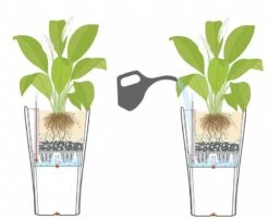 Lechuza® Delta Premium Self-Watering Planters -Garden Care Sale 8590299 07V tif