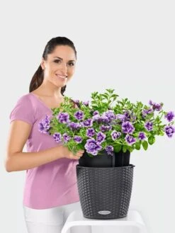 Lechuza® Nido Cottage Wicker Hanging Planter -Garden Care Sale 8591154GT 006V tif