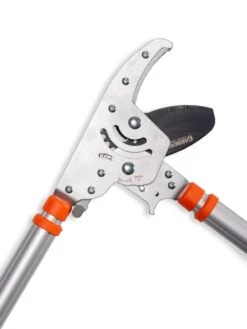 Telescoping Ratchet Loppers 5 Telescoping Ratchet Loppers -Garden Care Sale 8591285 025 tif
