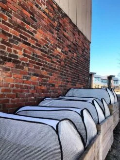 Row Shelter Accelerator 9 Row Shelter Accelerator -Garden Care Sale 8591990 01IN tif