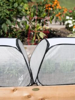 Row Shelter Accelerator 10 Row Shelter Accelerator -Garden Care Sale 8591990 2199 tif