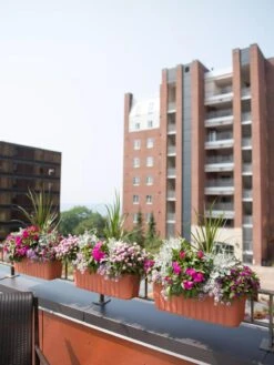 Adjustable Self-Watering Railing Planter, 24" 10 Adjustable Self-Watering Railing Planter, 24" -Garden Care Sale 8592173TC 2383 tif