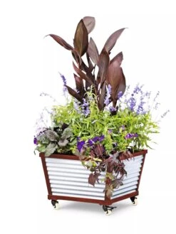 Galvanized Self-Watering Planters -Garden Care Sale 8592176 5067 tif