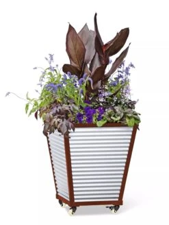 Galvanized Self-Watering Planters -Garden Care Sale 8592177 5066 tif