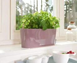 Lechuza® Delta Self-Watering Windowsill Planters -Garden Care Sale 8592361 01V tif