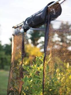 Storm Proof Crop Cage, Large -Garden Care Sale 8592463 115 tif