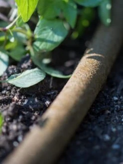 Premium 1/2" Soaker Hose -Garden Care Sale 8592730 4933 tif