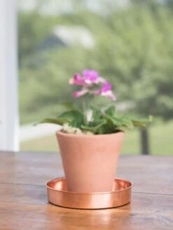 Extra Small Round Copper Plant Tray, 8" -Garden Care Sale 8593528 4522 tif
