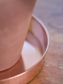 Extra Small Round Copper Plant Tray, 8" -Garden Care Sale 8593528 4529 tif