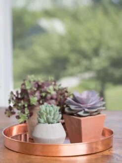 Large Round Copper Plant Tray, 14" -Garden Care Sale 8593531 4518 tif