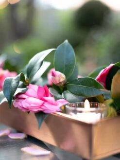 Rectangular Copper Plant Tray, 18"x4" 7 Rectangular Copper Plant Tray, 18"x4" -Garden Care Sale 8593532 02IN tif