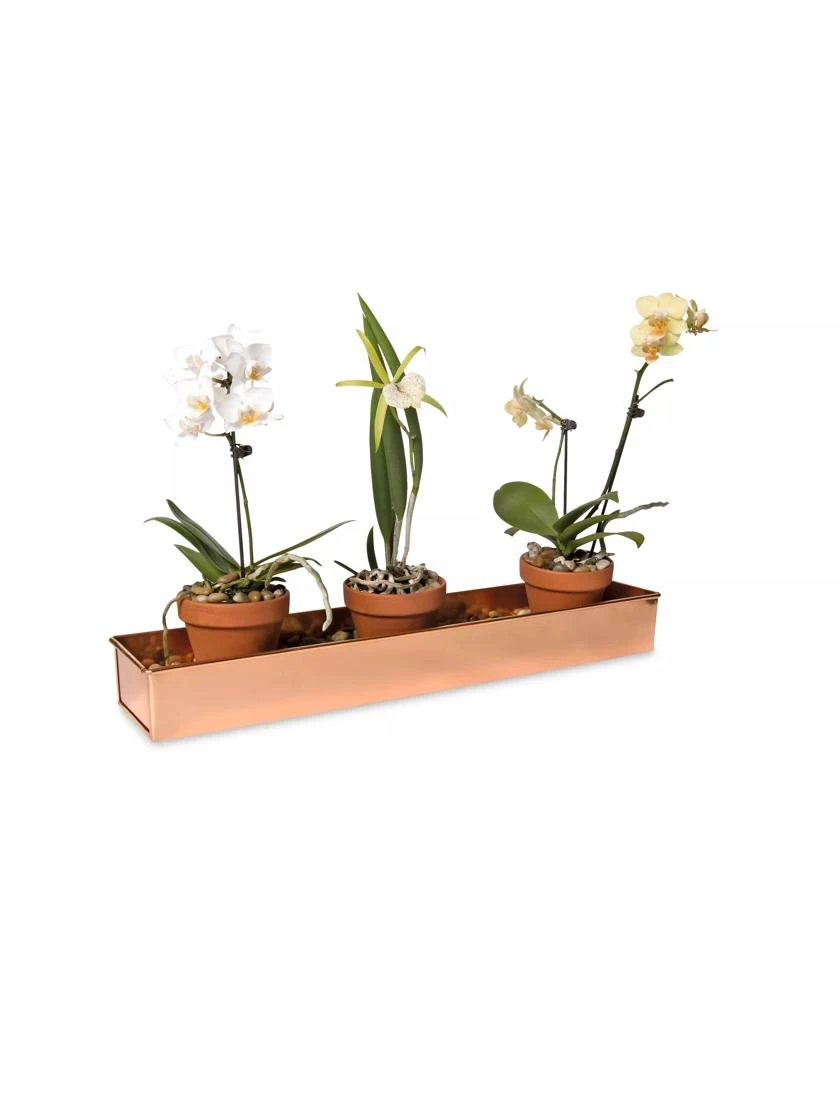 Rectangular Copper Plant Tray, 18"x4" 2 Rectangular Copper Plant Tray, 18"x4" - Image 2