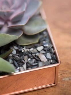 Rectangular Copper Plant Tray, 24" X 5" -Garden Care Sale 8593533 4570 tif