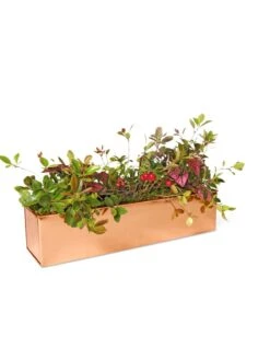 Tall Rectangular Copper Plant Tray, 18" X 5" X 4" -Garden Care Sale 8593534 2899 tif
