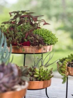 Small Round Copper Plant Tray, 10" -Garden Care Sale 8593564 4399 tif