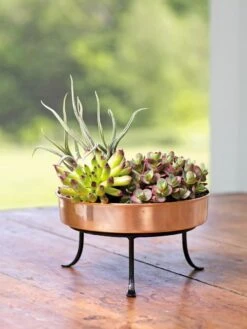 Extra Small Round Copper Plant Tray, 8" -Garden Care Sale 8593564 4641 001E tif