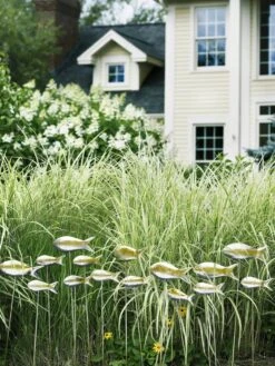 Fish Out Of Water Garden Stakes, Set Of 5 -Garden Care Sale 8593672 9124 tif