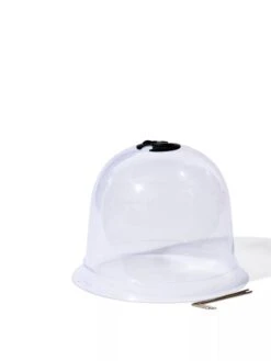 Medium Garden Cloches, Set Of 6 -Garden Care Sale 8593985 9210 tif