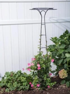 Essex Tuteur, 63" -Garden Care Sale 8594162 0023 tif