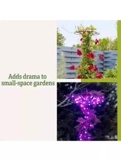 Essex Tuteur, 63" -Garden Care Sale 8594162 3