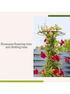 Essex Tuteur, 63" -Garden Care Sale 8594162 4