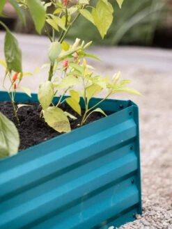 Demeter Corrugated Metal Raised Bed, 34" X 34" -Garden Care Sale 8594183 470 tif