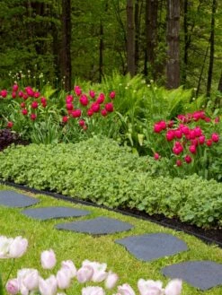 Recycled Rubber Flagstone Stepping Stone -Garden Care Sale 8594282 518 tif