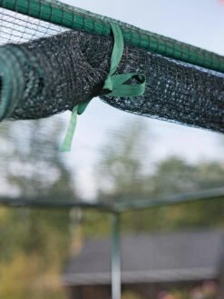 Pest-Free Garden 9 Pest-Free Garden -Garden Care Sale 8594283 0190 tif