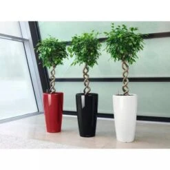 Lechuza® Rondo Self-Watering Planters