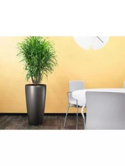 Lechuza® Rondo Self-Watering Planters -Garden Care Sale 8594586 02V tif