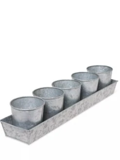 Galvanized Herb Planters With Rectangular Tray -Garden Care Sale 8595903 3924 tif
