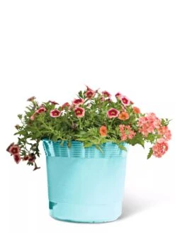 Eezy Gro Self-Watering Planters -Garden Care Sale 8596426 103 tif