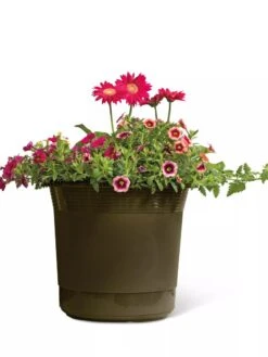 Eezy Gro Self-Watering Planters -Garden Care Sale 8596427 108 tif