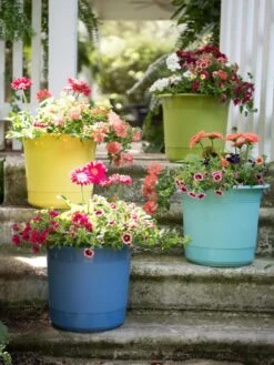 Eezy Gro Self-Watering Planters -Garden Care Sale 8596427 8090 tif